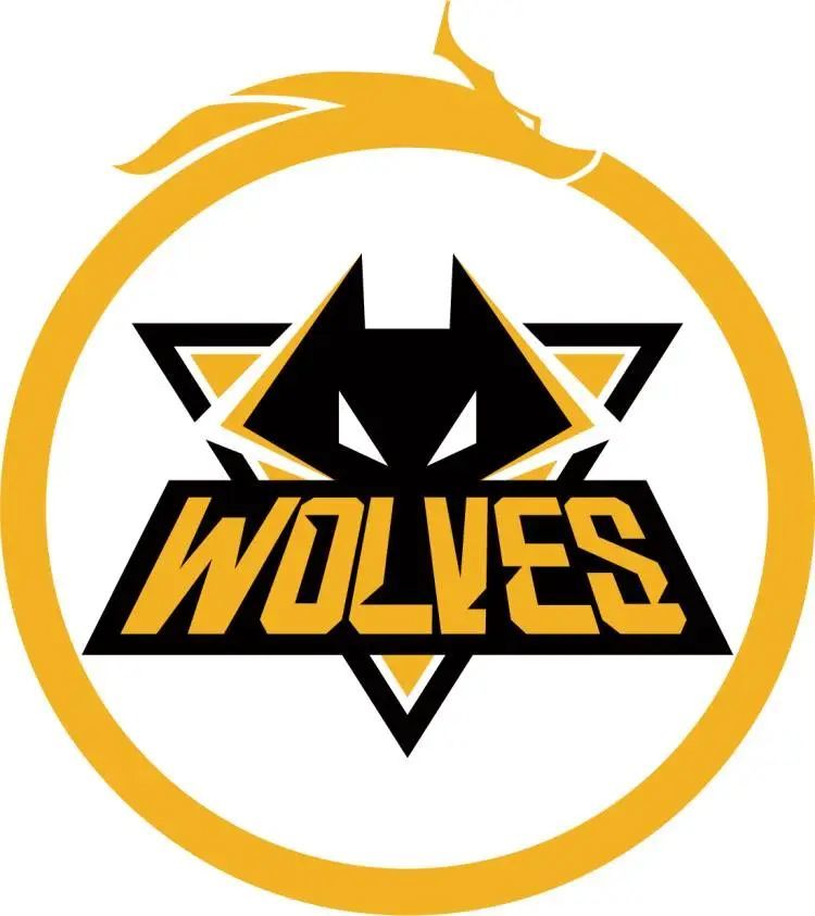 足球世界杯两队提前晋级，最后一轮无悬念